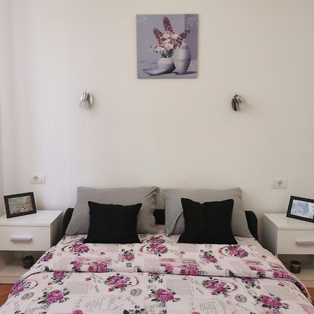 Apartmani La Grande Motte Vrdnik Exterior photo